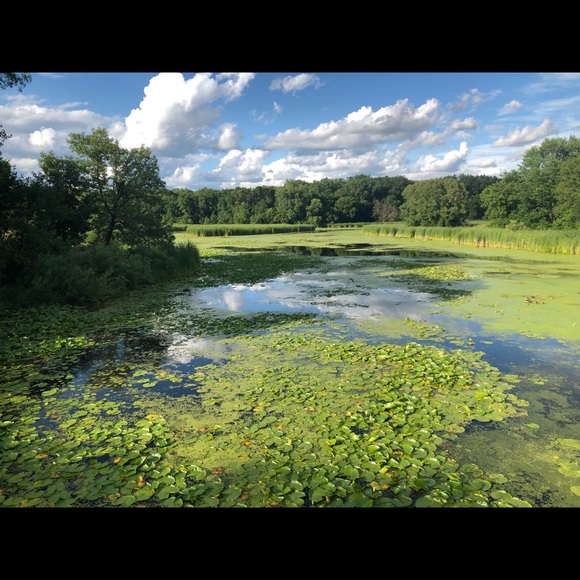 Meet your Posher, Pranav - Picture 1 of 1